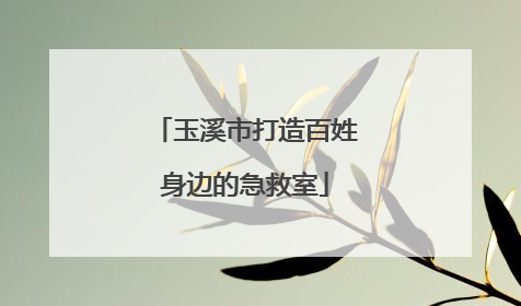 玉溪市打造百姓身边的急救室