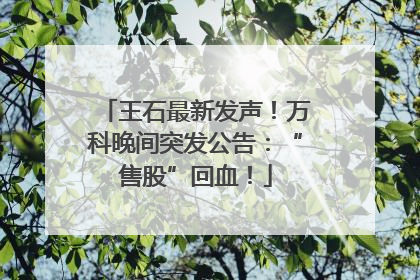 王石最新发声！万科晚间突发公告：“售股”回血！