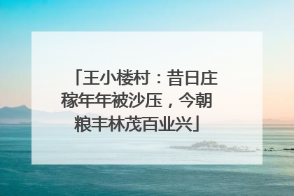 王小楼村：昔日庄稼年年被沙压，今朝粮丰林茂百业兴