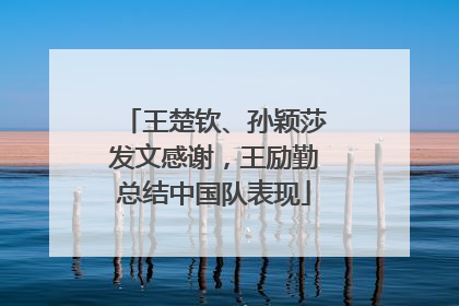王楚钦、孙颖莎发文感谢，王励勤总结中国队表现