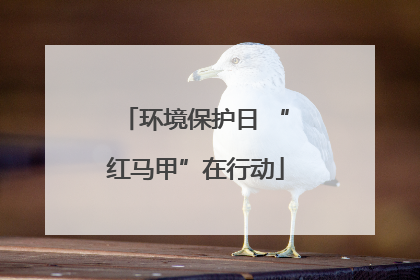 环境保护日 “红马甲”在行动