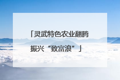 灵武特色农业翻腾振兴“致富浪”
