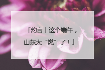 灼言丨这个端午，山东太“燃”了！