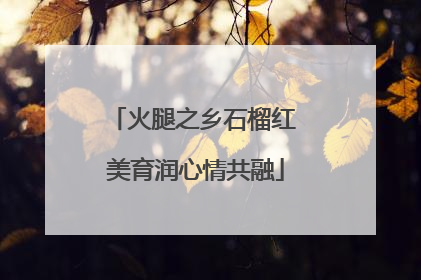 火腿之乡石榴红 美育润心情共融