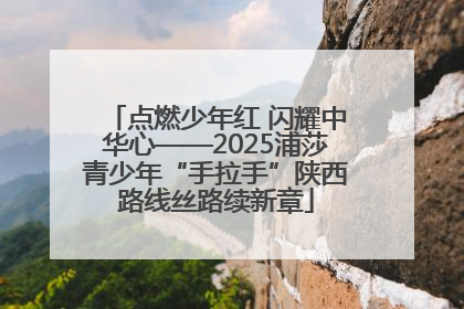 点燃少年红 闪耀中华心——2025浦莎青少年“手拉手”陕西路线丝路续新章