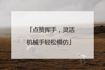 点赞挥手，灵活机械手轻松模仿