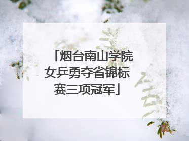 烟台南山学院女乒勇夺省锦标赛三项冠军