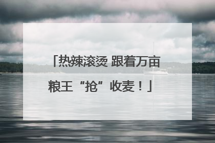 热辣滚烫 跟着万亩粮王“抢”收麦！