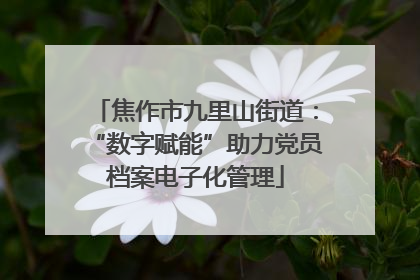 焦作市九里山街道：“数字赋能”助力党员档案电子化管理