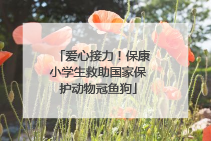 爱心接力！保康小学生救助国家保护动物冠鱼狗