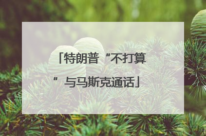 特朗普“不打算”与马斯克通话