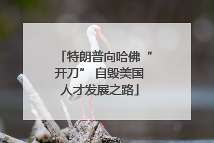 特朗普向哈佛“开刀” 自毁美国人才发展之路