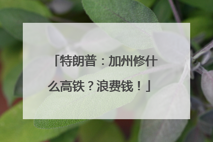 特朗普：加州修什么高铁？浪费钱！
