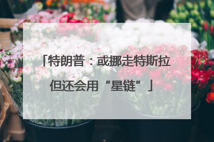 特朗普：或挪走特斯拉 但还会用“星链”