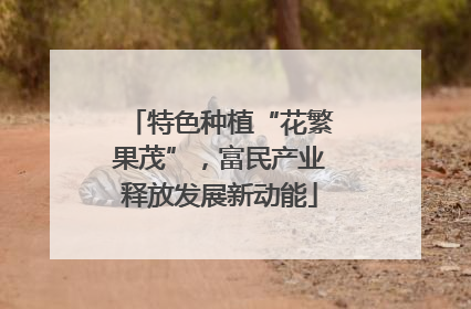 特色种植“花繁果茂”，富民产业释放发展新动能