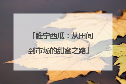 睢宁西瓜：从田间到市场的甜蜜之路