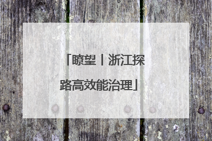 瞭望丨浙江探路高效能治理