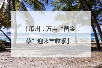 瓜州：万亩“黄金草”迎来丰收季