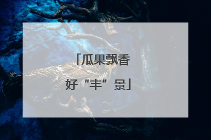 瓜果飘香 好“丰”景