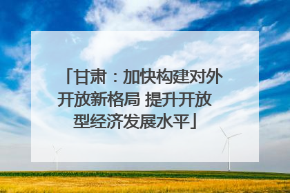 甘肃：加快构建对外开放新格局 提升开放型经济发展水平