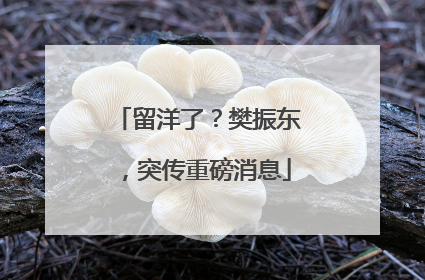 留洋了？樊振东，突传重磅消息