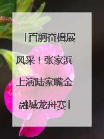 百舸奋楫展风采！张家浜上演陆家嘴金融城龙舟赛