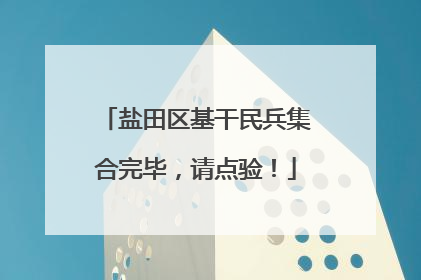 盐田区基干民兵集合完毕，请点验！
