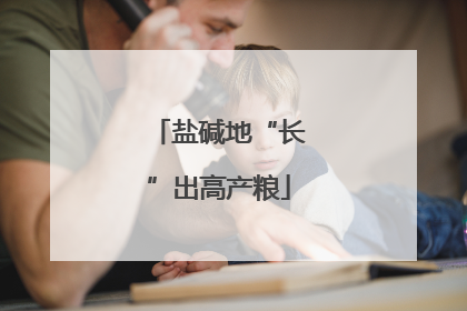 盐碱地“长”出高产粮