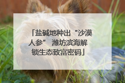 盐碱地种出“沙漠人参” 潍坊滨海解锁生态致富密码