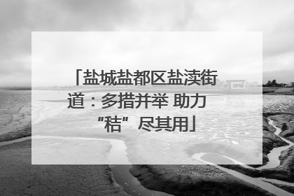 盐城盐都区盐渎街道：多措并举 助力“秸”尽其用