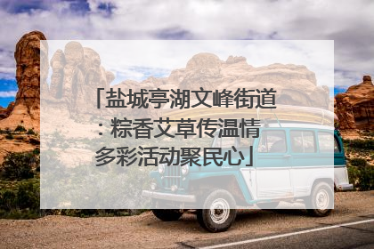盐城亭湖文峰街道：粽香艾草传温情 多彩活动聚民心
