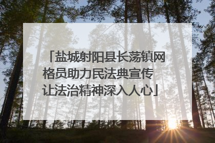 盐城射阳县长荡镇网格员助力民法典宣传 让法治精神深入人心