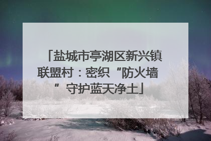 盐城市亭湖区新兴镇联盟村：密织“防火墙”守护蓝天净土
