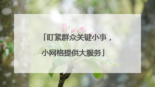 盯紧群众关键小事，小网格提供大服务