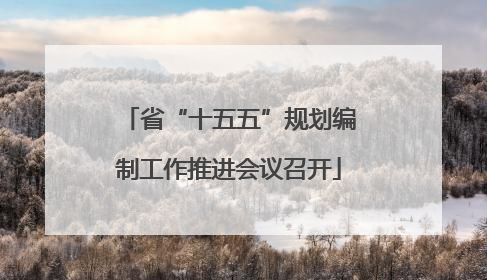 省“十五五”规划编制工作推进会议召开