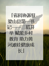 省科协派驻梁山县第一书记——三措并举 赋能乡村教育 助力黄河滩娃健康成长