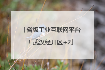 省级工业互联网平台！武汉经开区+2
