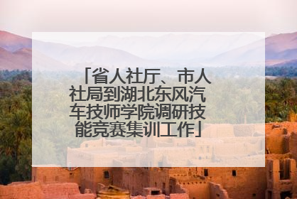 省人社厅、市人社局到湖北东风汽车技师学院调研技能竞赛集训工作