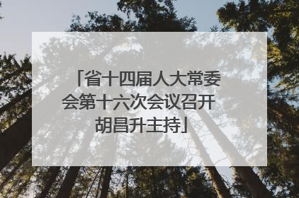 省十四届人大常委会第十六次会议召开 胡昌升主持