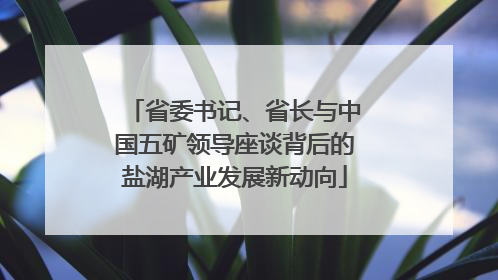 省委书记、省长与中国五矿领导座谈背后的盐湖产业发展新动向