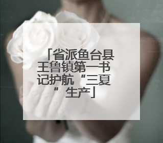 省派鱼台县王鲁镇第一书记护航“三夏”生产
