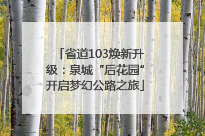 省道103焕新升级：泉城“后花园”开启梦幻公路之旅