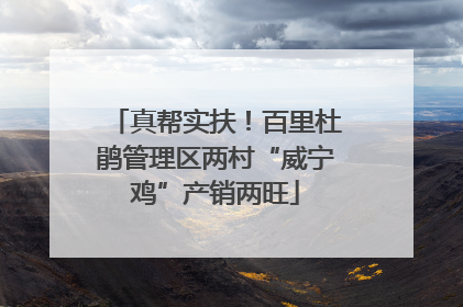 真帮实扶！百里杜鹃管理区两村“威宁鸡”产销两旺