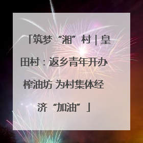 筑梦“湘”村｜皇田村：返乡青年开办榨油坊 为村集体经济“加油”