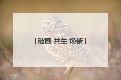 破圈 共生 焕新