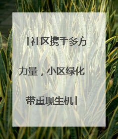 社区携手多方力量，小区绿化带重现生机