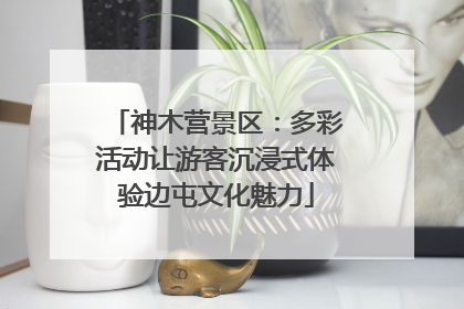 神木营景区：多彩活动让游客沉浸式体验边屯文化魅力