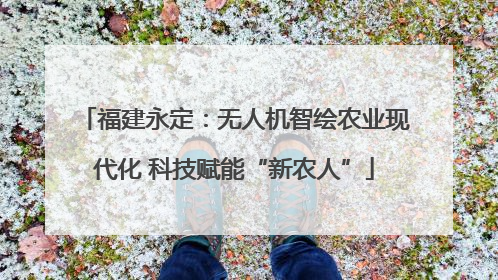 福建永定：无人机智绘农业现代化 科技赋能“新农人”