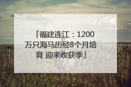 福建连江：1200万只海马历经8个月培育 迎来收获季