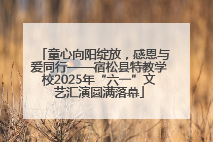 童心向阳绽放，感恩与爱同行——宿松县特教学校2025年“六一”文艺汇演圆满落幕